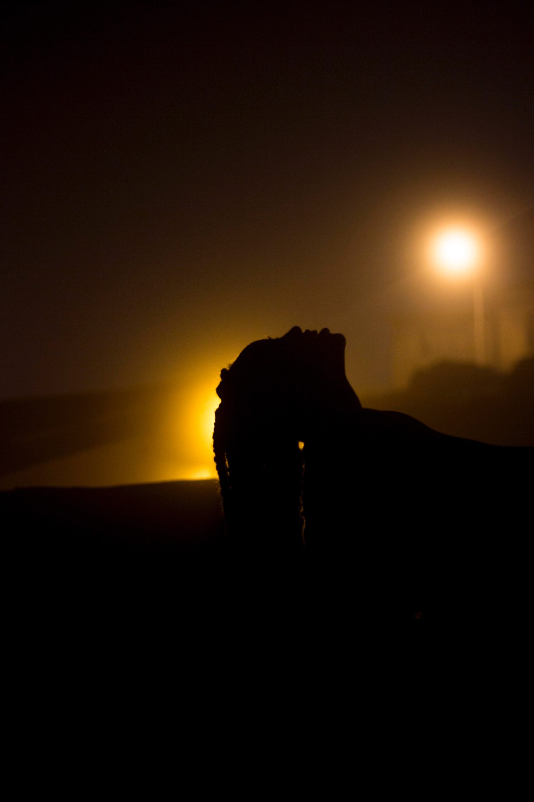 a female silhouette